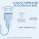corso di formazione in ecografia di base